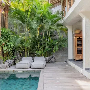 Palm Jari 2 By Alfred In Bali