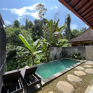 Pis Bolong House
