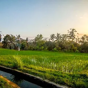 Villa Paradise