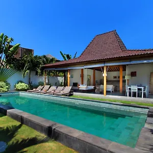 Tinn Tamm By Optimum Bali