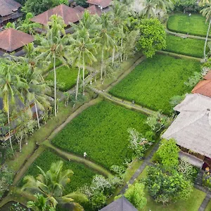 Ananda 4* Ubud