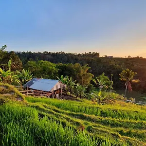 Hara Bali Eco *
