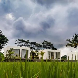 Deluxe White Cube 2* Ubud (Bali)