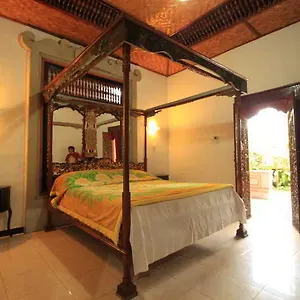 Citrus Tree - Pering Hotel