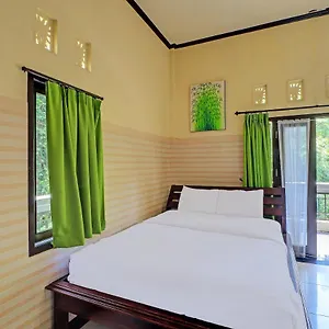 Oyo 91925 Ijo Eco
