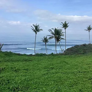 Seaview Surf *