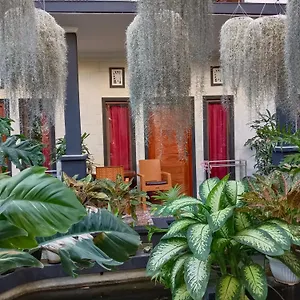 Double N Bali Guest house *