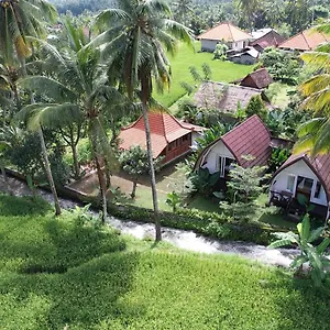 Damuh Pertivi, River And Rice Fields View