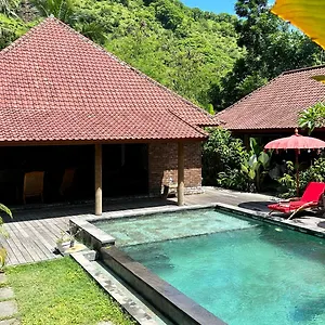 The Jungle House *