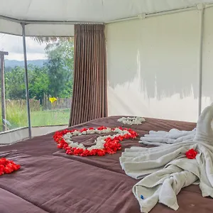 Polestay Glamping *