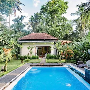 D Coffe Junggle Ceking Rice Terrace By Galleros Villa *