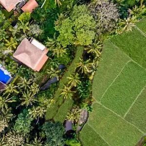 Apartment Fullara 1 Bedroom With Rice Field View Zn240 *