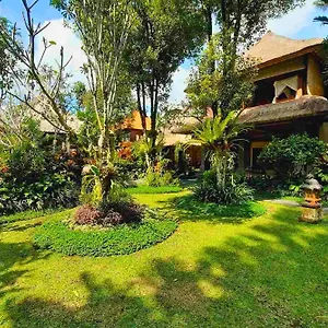 Apartment Punita 1 Bedroom Grand Deluxe Garden Zn237