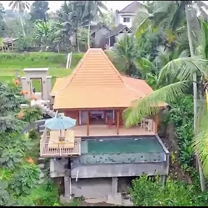 Villa Nissa *