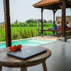 Villa Rumah Tengah Sawah *