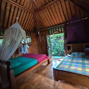 T.homestay Homestay