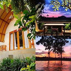 Sunset Shade Lodge