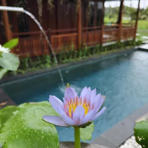 Lotus Villa