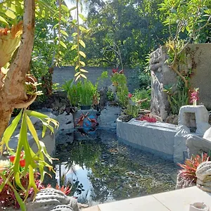 Atb * Lovina (Bali)