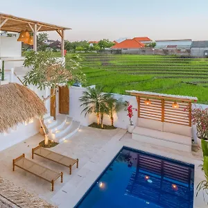 Paca - Rooftop, Outdoor Cinema & 2 Pools Overlooking Rice Fields