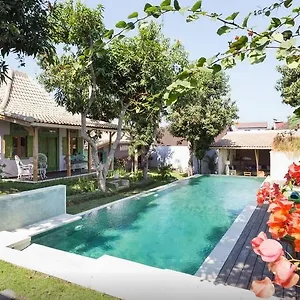 Guest house Mooz 3*