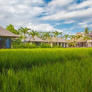 Lumia Bali *