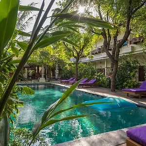Guest house Arjuna 3*