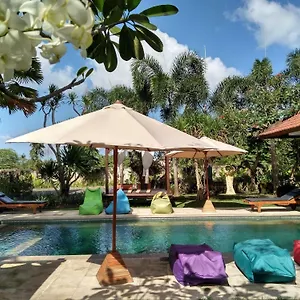 Premier Surf Camp Canggu (Bali)