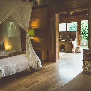 Holiday park Desa Saya Eco Luxury & 4*