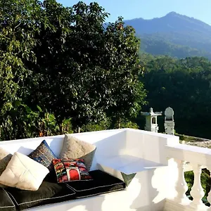 Plantation Luxury Mountain Escape Bedugul Holiday home Bedugul (Bali)
