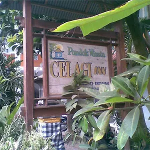 Celagi Guest house 2*