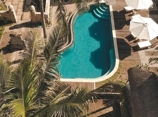 Tentacle Bali Toyapakeh foto
