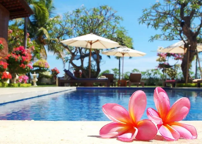 Frangipani Beach Hotel Lovina  photo