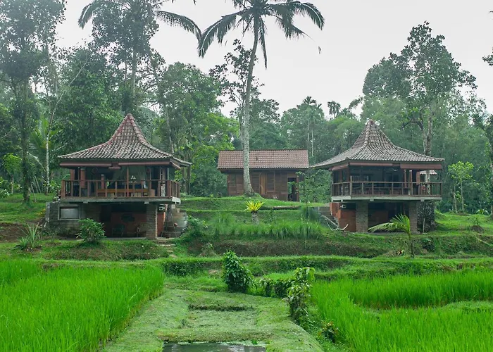 Tepi Sawah Lodge & Retreat Jatiluwih photo