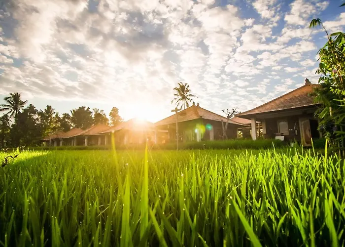 Sri Lestari Banyuatis Villa Munduk  photo