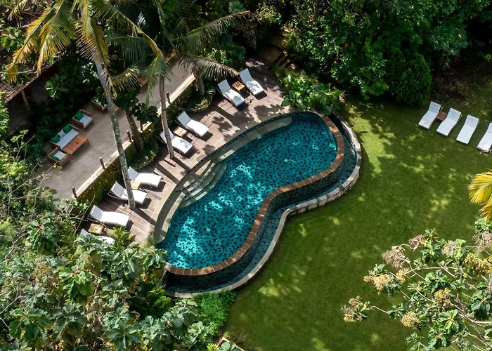 The Mesare Eco Resort Batumadeg photo