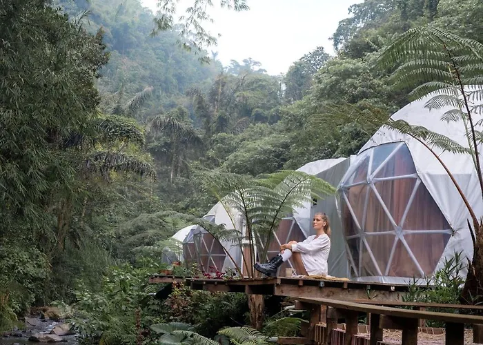 Glamping Tent In Pelaga Eco Park Pacung photo