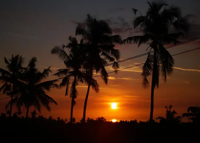 Lafyu Bali Hotel Singaraja  photo