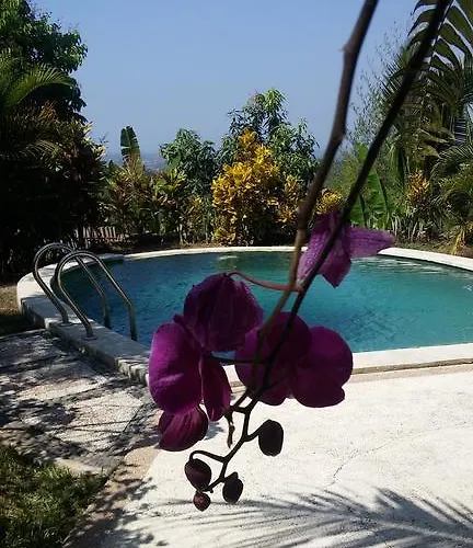 West Bali Villas-Umasari Resort Negara  photo