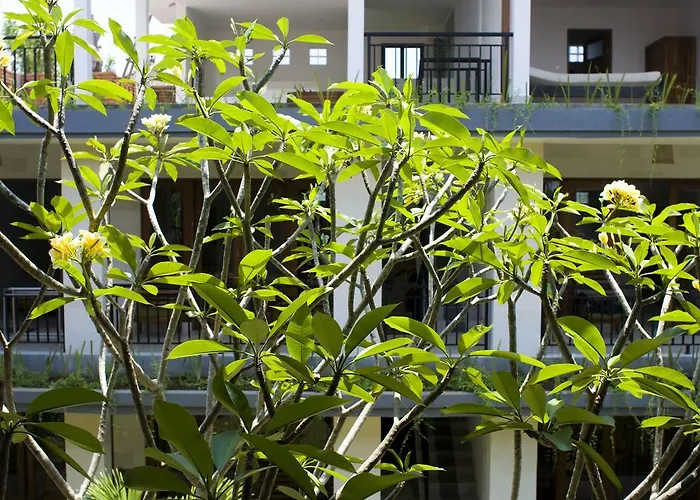 Nani House 2 Hotel Ubud  photo