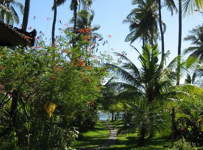 Bali Sandat Tejakula photo