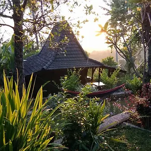 D'kailash Retreat Bed & Breakfast Buleleng (Bali)