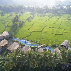 Bed & Breakfast Beehouse Dijiwa 4*