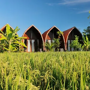 منتزه العطل Surf Camp