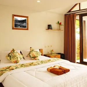 Clove * Munduk (Bali)
