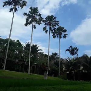 Umae Private Pool Ubud (Bali)