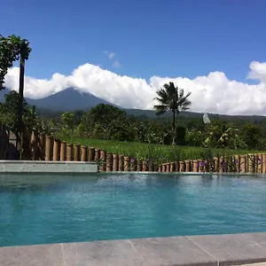 In - The Champuhan - Honeymoon With Rice Field View Guest house