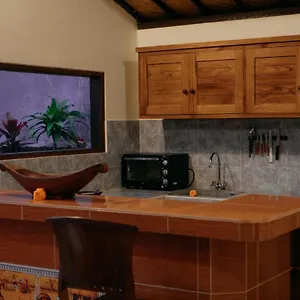 Wita House