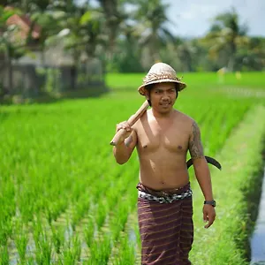 Hotel Mandi &