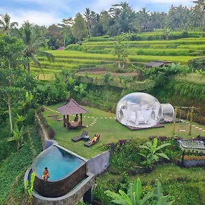 Romantic Bubble Dome Luxury tent Gianyar (Bali)